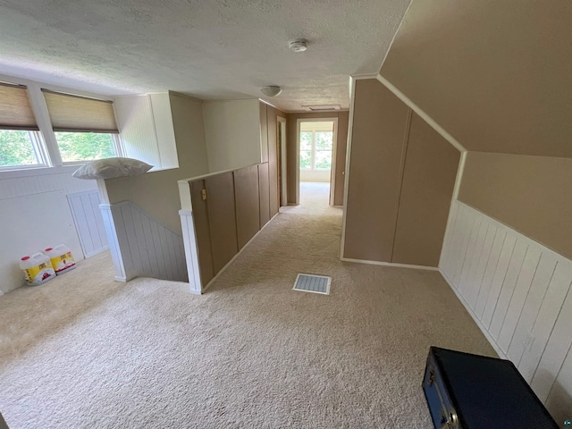 bonus room with a textured ceiling, a healthy amount of sunlight, lofted ceiling, and light carpet