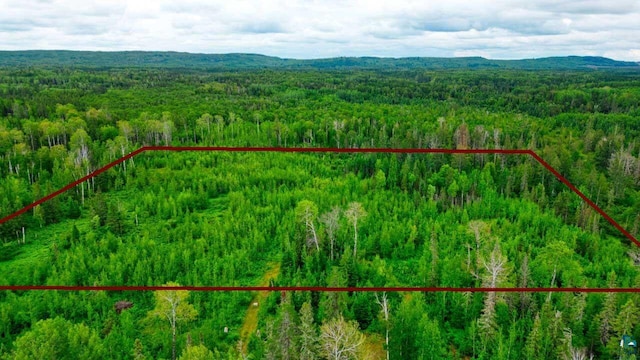 7573 Thumbnail Dr, Embarrass MN, 55732 land for sale