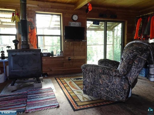 living room with a wood stove and wooden walls