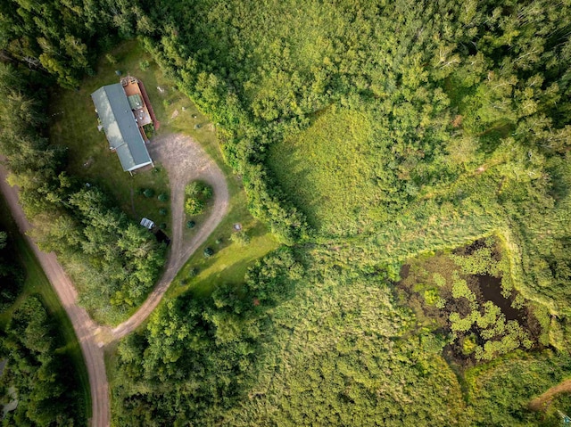 bird's eye view