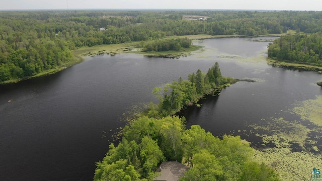 bird's eye view featuring a water view and a wooded view