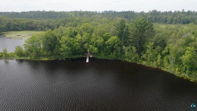 drone / aerial view with a water view and a wooded view