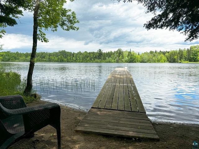 view of dock featuring a water view and a forest view