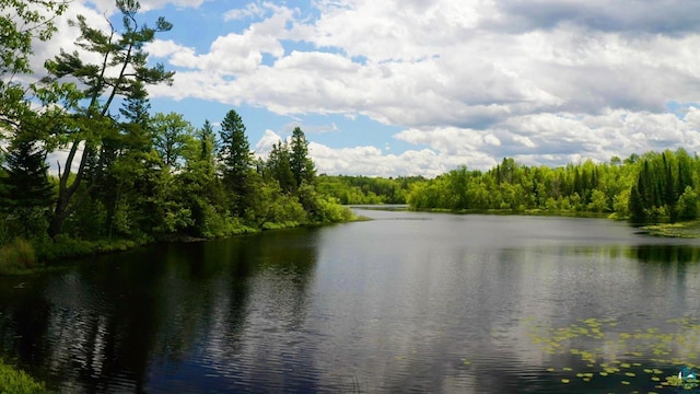 view of water feature