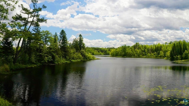 property view of water with a forest view