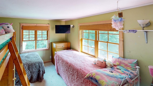 bedroom with crown molding, multiple windows, and carpet floors