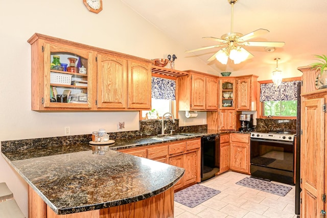 kitchen with dishwasher, kitchen peninsula, a wealth of natural light, ceiling fan, and electric stove