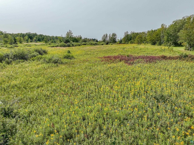 view of landscape with a rural view