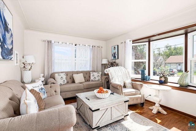 living room featuring hardwood / wood-style floors