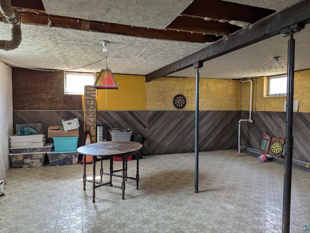 basement with a textured ceiling and wood walls