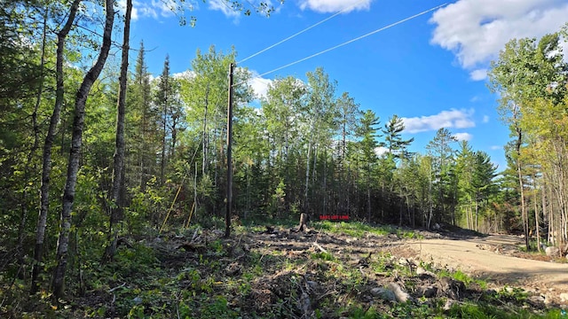 XX13.7 Crane Lake Rd, Crane Lake MN, 55725 land for sale