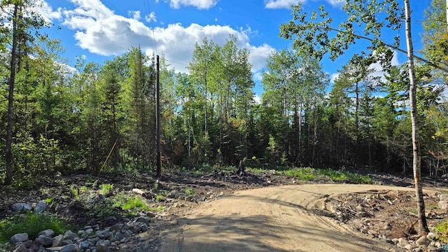 Listing photo 3 for XX13.7 Crane Lake Rd, Crane Lake MN 55725