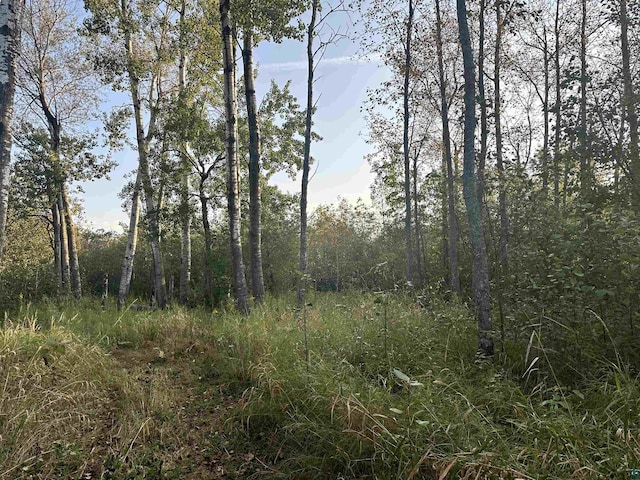 XXX Seville Rd, Saginaw MN, 55779 land for sale