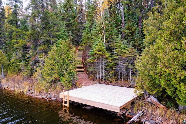 dock area featuring a water view