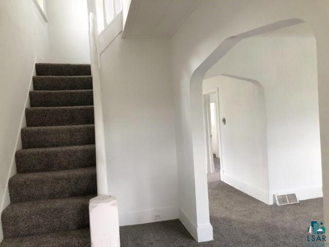 staircase with carpet floors