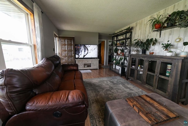 living room with a textured ceiling and hardwood / wood-style flooring