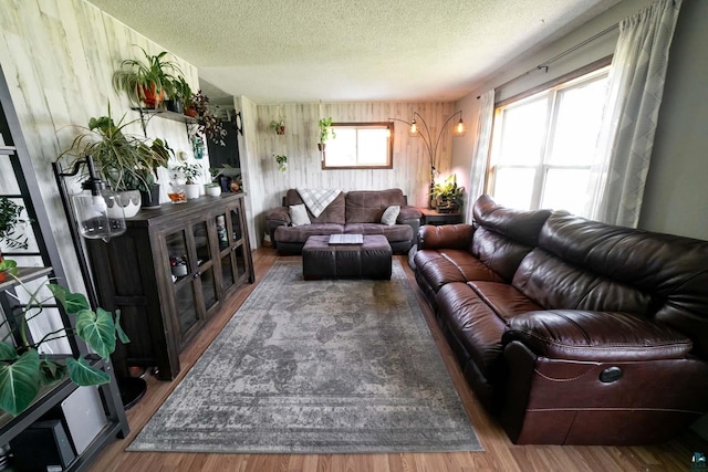 living room with a textured ceiling and hardwood / wood-style flooring