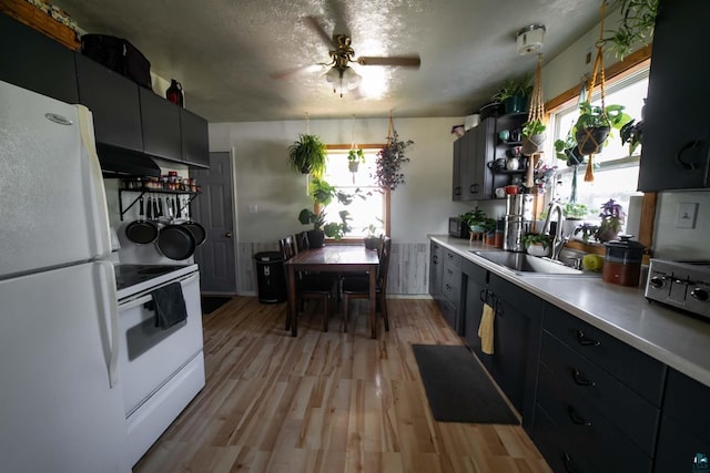 kitchen with light hardwood / wood-style floors, white appliances, a textured ceiling, ceiling fan, and sink