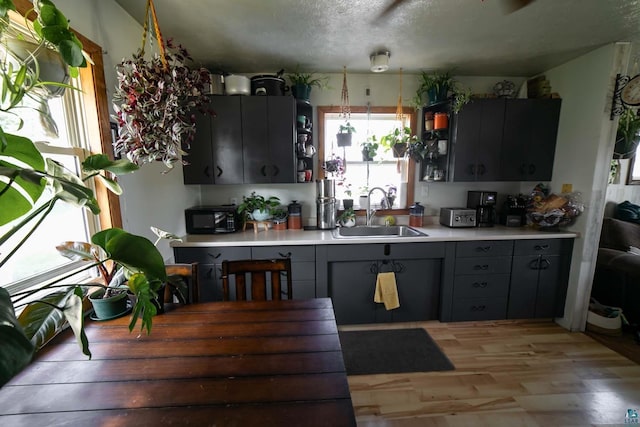 kitchen featuring light hardwood / wood-style flooring, gray cabinetry, a textured ceiling, and sink