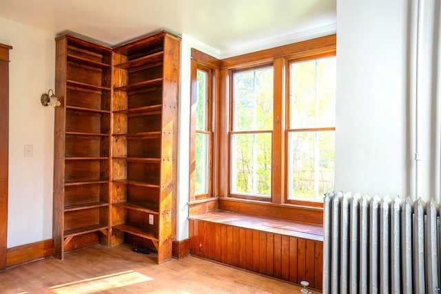 interior space featuring light hardwood / wood-style flooring, crown molding, radiator heating unit, and plenty of natural light