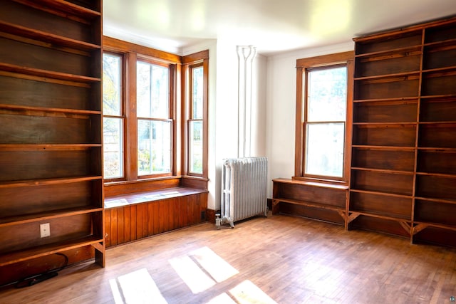 interior space with a healthy amount of sunlight, radiator heating unit, and light wood-type flooring