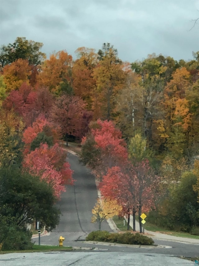 view of home's community