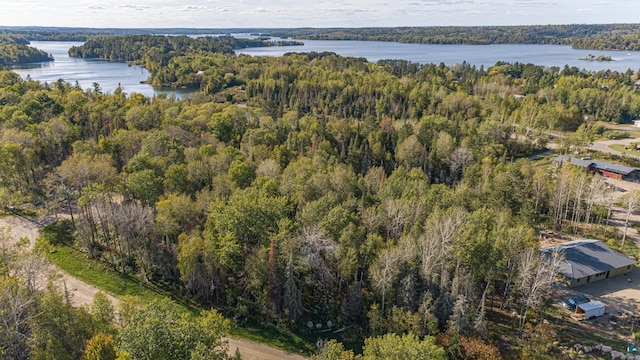 2125 Sibley Ct, Ely MN, 55731 land for sale