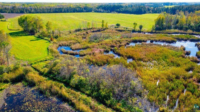 birds eye view of property featuring a water view and a rural view