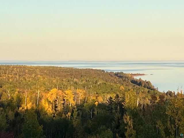 184 County Rd 14, Grand Marais MN, 55604 land for sale