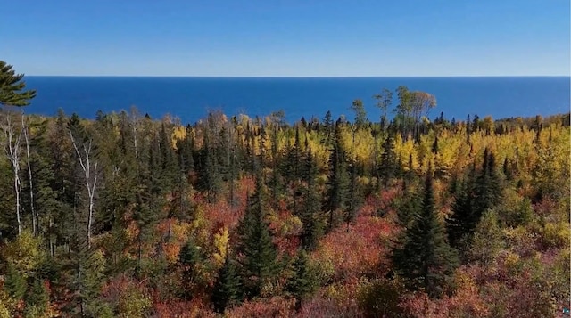 Listing photo 2 for 184 County Rd 14, Grand Marais MN 55604