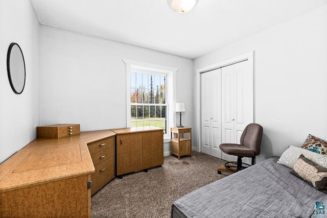 bedroom with a closet