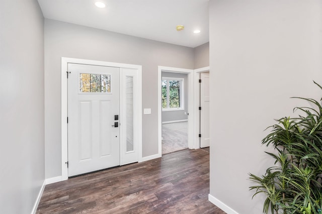 entrance foyer featuring dark hardwood / wood-style flooring