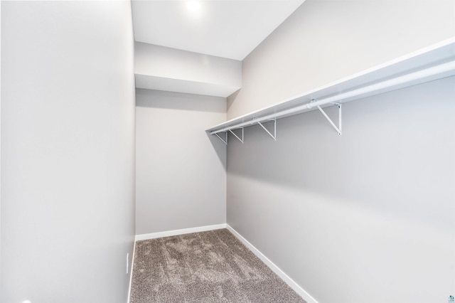 walk in closet with dark carpet