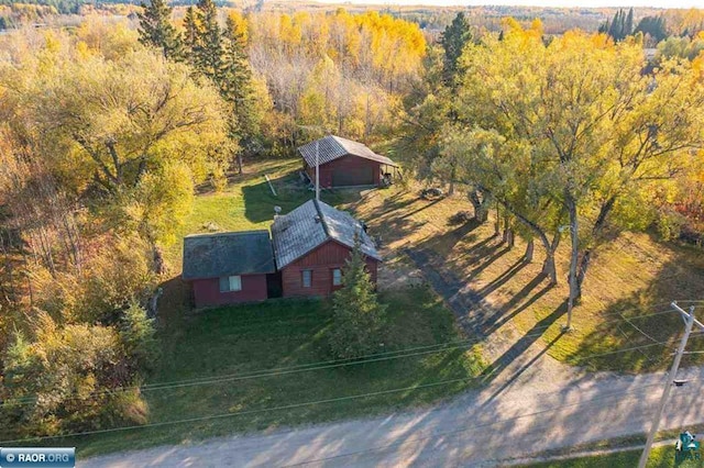 bird's eye view