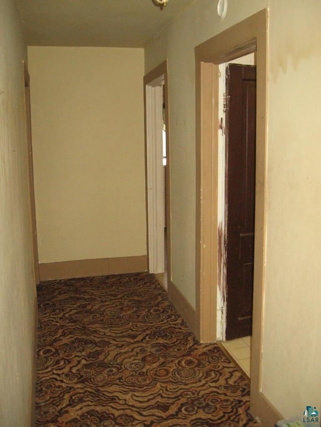 21 White St, Ely, MN 55731 - corridor with light colored carpet