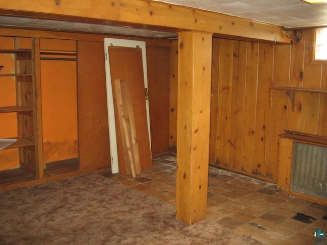 basement with wood walls