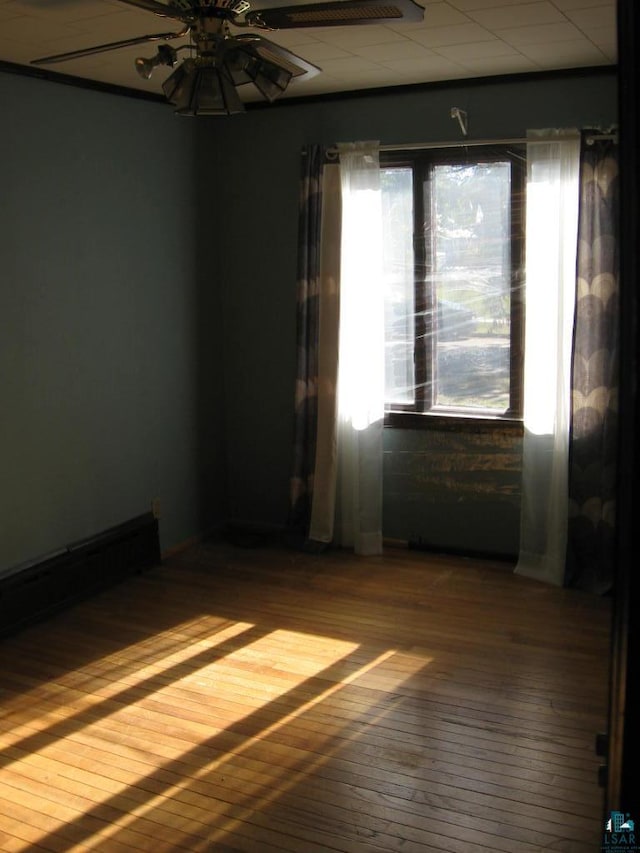 21 White St, Ely, MN 55731 - unfurnished room featuring ceiling fan and dark wood finished floors