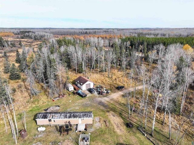 7003 Sherwood Anderson Rd, Britt MN, 55710 land for sale