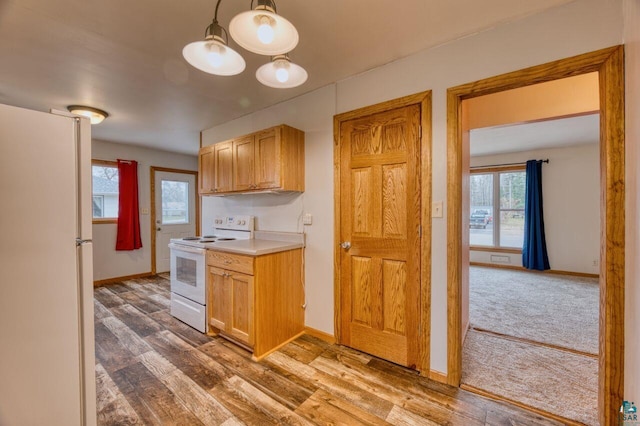 kitchen with hardwood / wood-style floors, a wealth of natural light, and white appliances