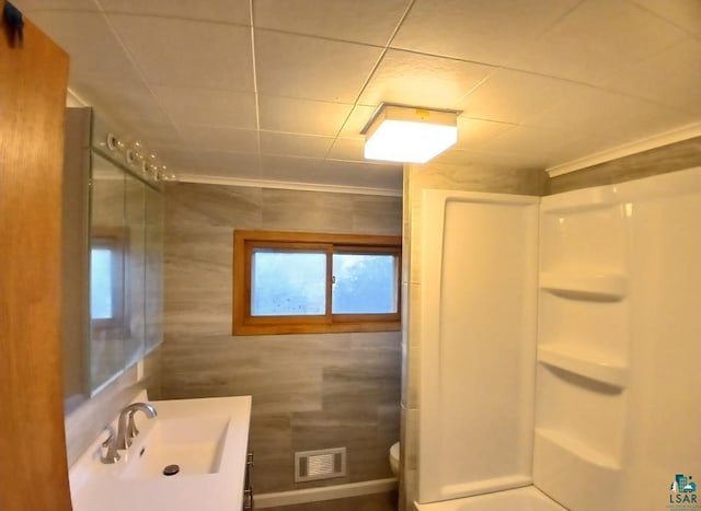 bathroom with vanity, walk in shower, and toilet