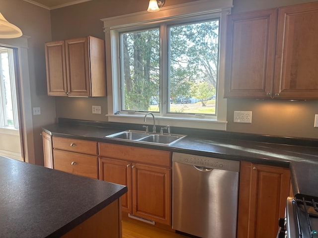 kitchen with stainless steel dishwasher, sink, and a wealth of natural light