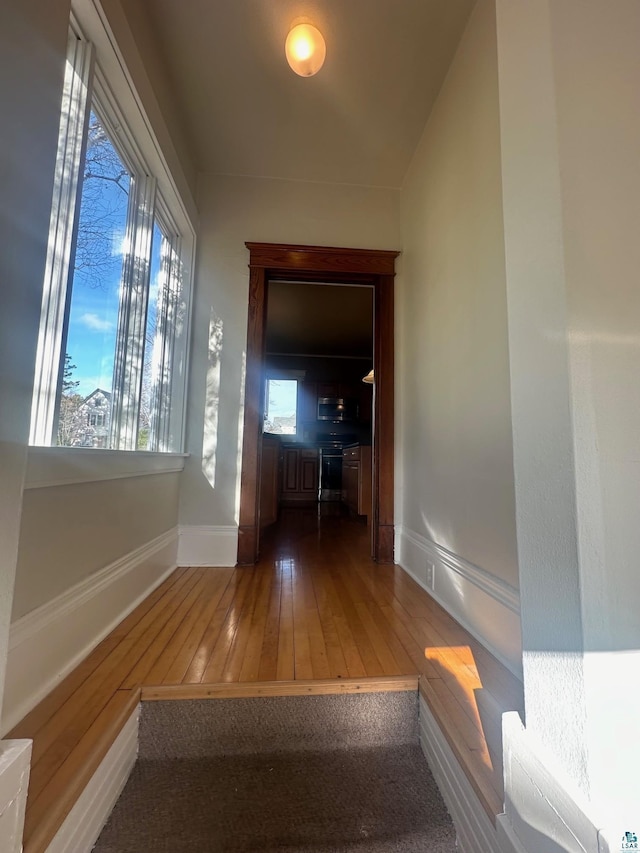 hallway with hardwood / wood-style floors