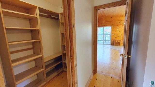 view of closet