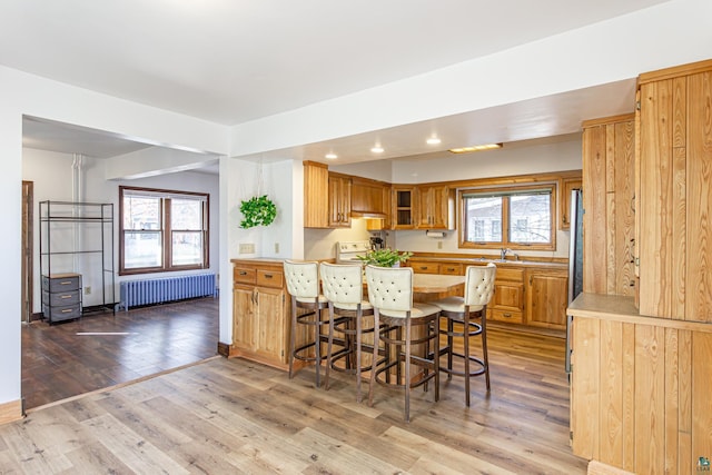 kitchen with radiator heating unit, light hardwood / wood-style floors, sink, a breakfast bar area, and extractor fan