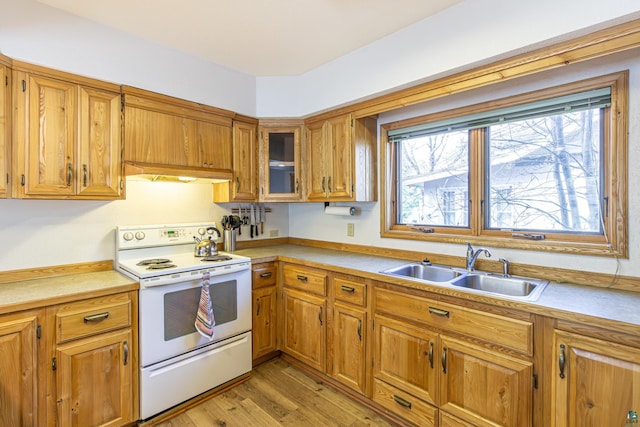 kitchen featuring electric stove, sink, and light hardwood / wood-style flooring