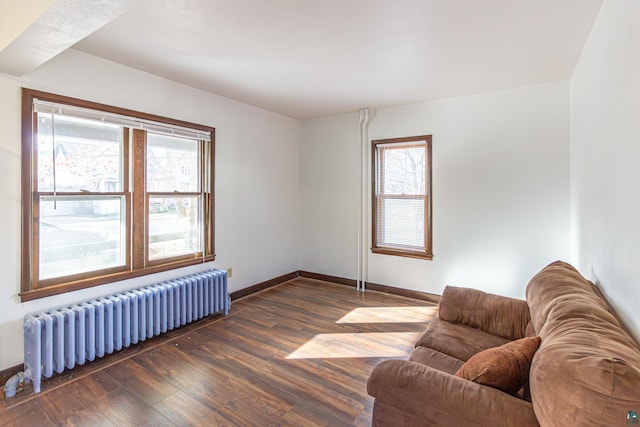 living area featuring dark hardwood / wood-style flooring and radiator