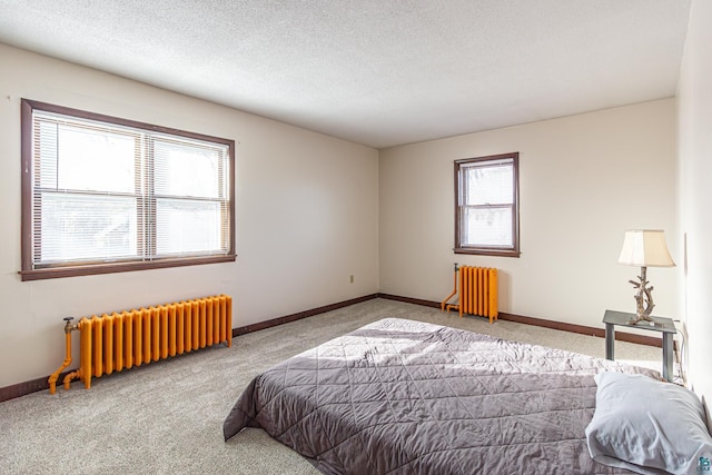 bedroom featuring carpet, radiator heating unit, and multiple windows