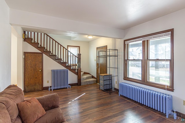 living room with radiator heating unit, a healthy amount of sunlight, and dark hardwood / wood-style flooring