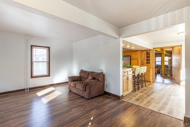 sitting room featuring dark hardwood / wood-style flooring