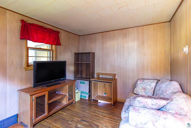 living room featuring wood walls and dark wood-type flooring